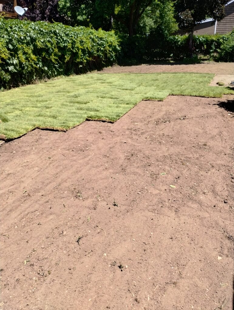 IMG_20240531_141242089_HDR