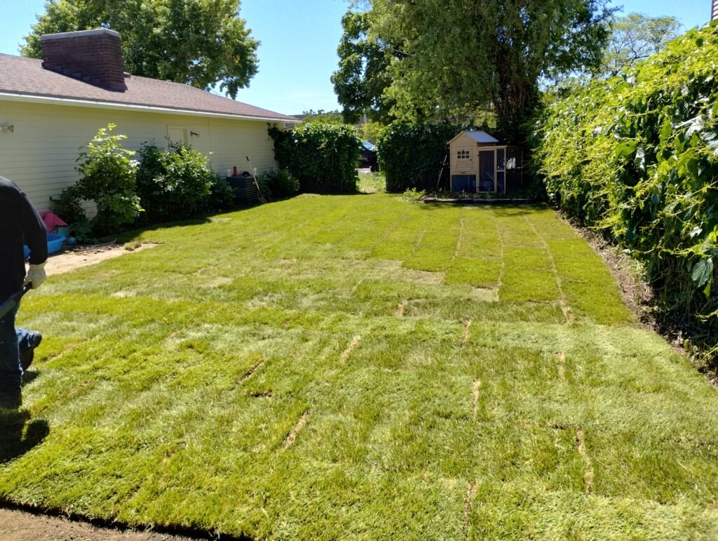 IMG_20240531_151434450_HDR