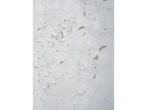 basement moisture issues