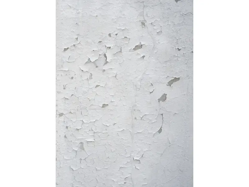 basement moisture issues